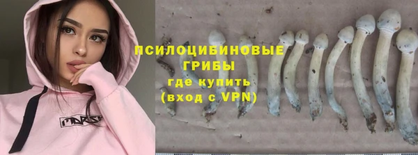 дмт Абинск