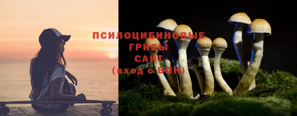 дмт Абинск