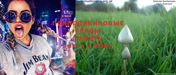 дмт Абинск