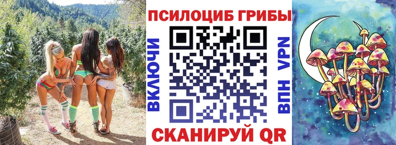 Псилоцибиновые грибы прущие грибы  сайты даркнета официальный сайт  Зеленокумск  KRAKEN ONION 